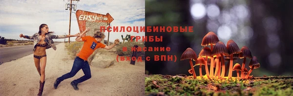 PSILOCYBIN Алексин