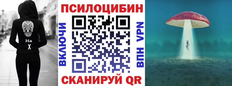 купить  сайты  mega как войти  Псилоцибиновые грибы GOLDEN TEACHER  Кукмор 