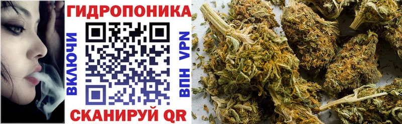 Шишки марихуана план  Кукмор 